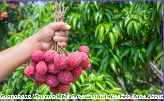 Guanabana (Soursop): The Superfruit You Need to Know About
